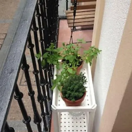 Apartamento En Carniceria Vieja Lägenhet *